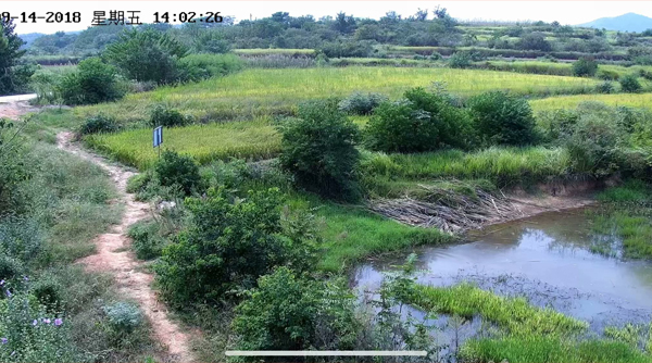 400万超清摄像头 球机