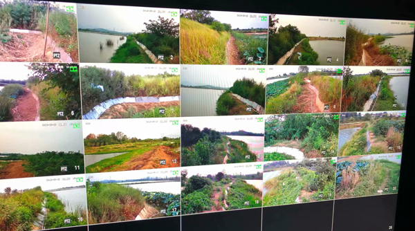 鱼塘监控晚上彩色