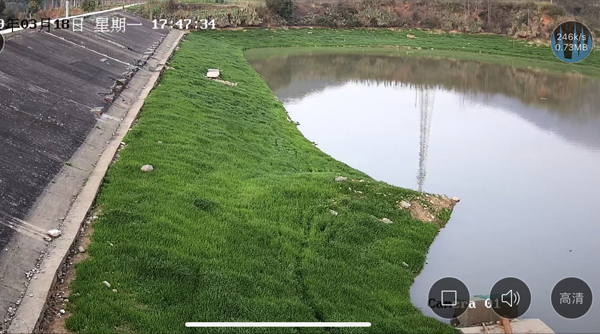 鱼塘监控 晚上如白天